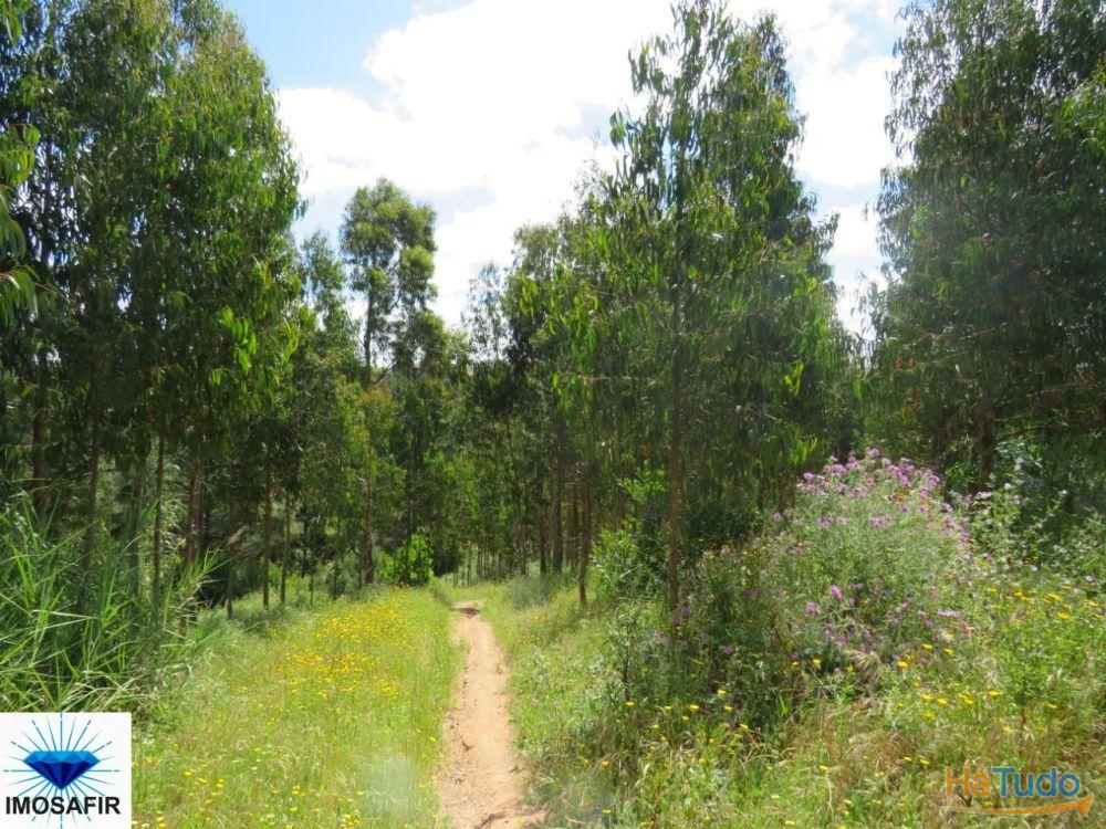 Propriedade de 5Hectares para Projeto Turístico e Residencial Propriedade de 5Hectares para Projeto Turístico e Residencial