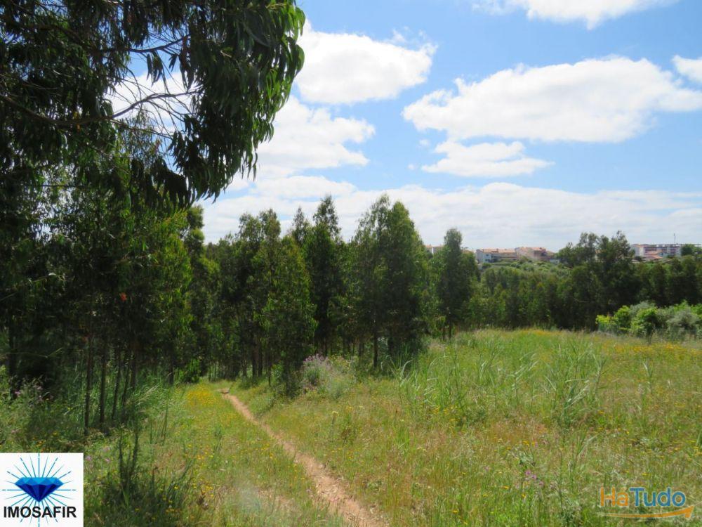 Propriedade de 5Hectares para Projeto Turístico e Residencial Propriedade de 5Hectares para Projeto Turístico e Residencial