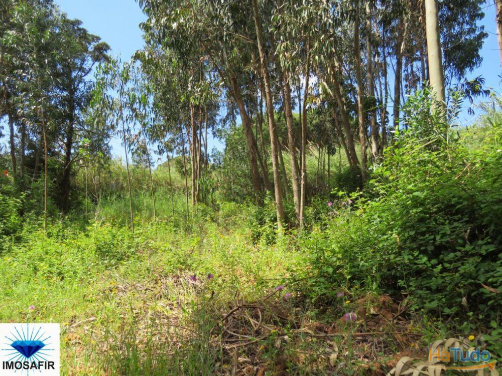 Propriedade de 5Hectares para Projeto Turístico e Residencial Propriedade de 5Hectares para Projeto Turístico e Residencial