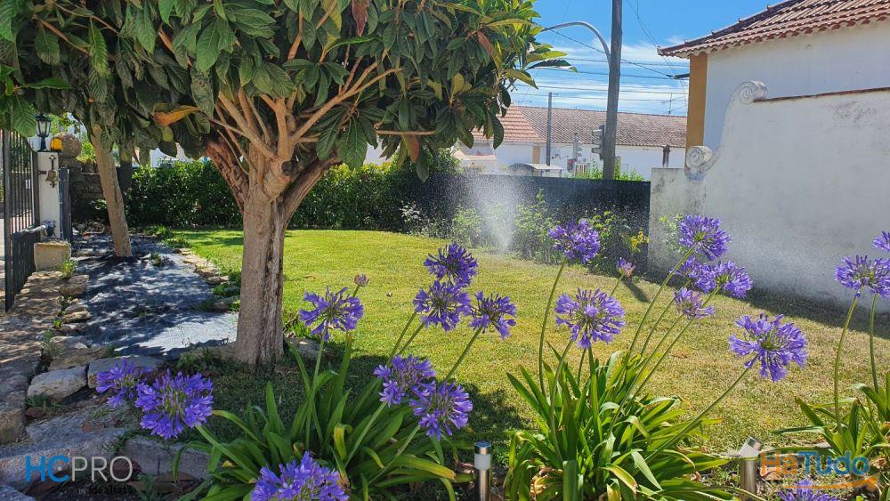 Encantadora Propriedade com 2 Moradias Tradicionais Encantadora Propriedade com 2 Moradias Tradicionais