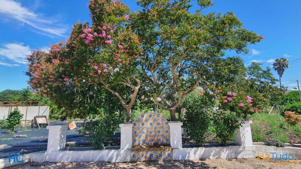 Encantadora Propriedade com 2 Moradias Tradicionais Encantadora Propriedade com 2 Moradias Tradicionais