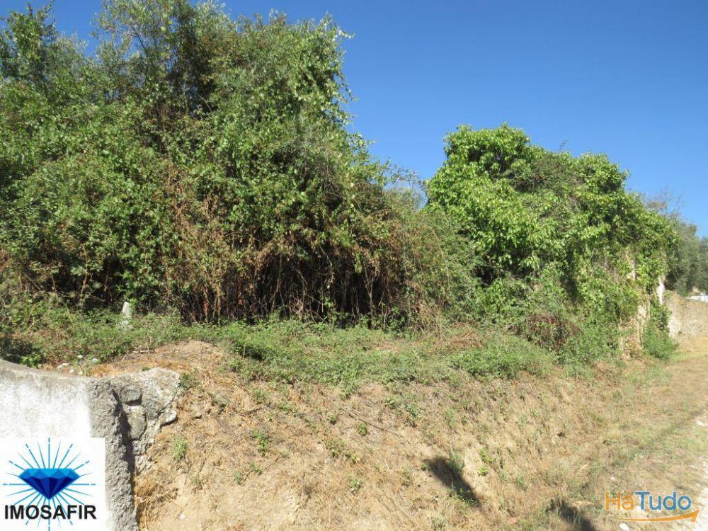 Terreno com Ruína para Construção de Moradia Terreno com Ruína para Construção de Moradia