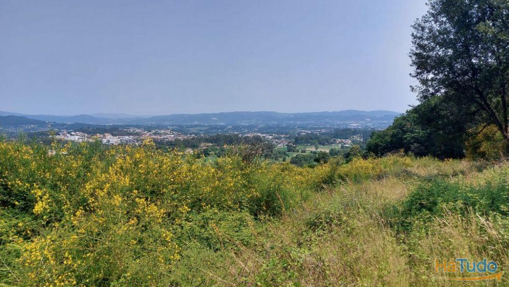 Quinta - Vila Verde Quinta - Vila Verde