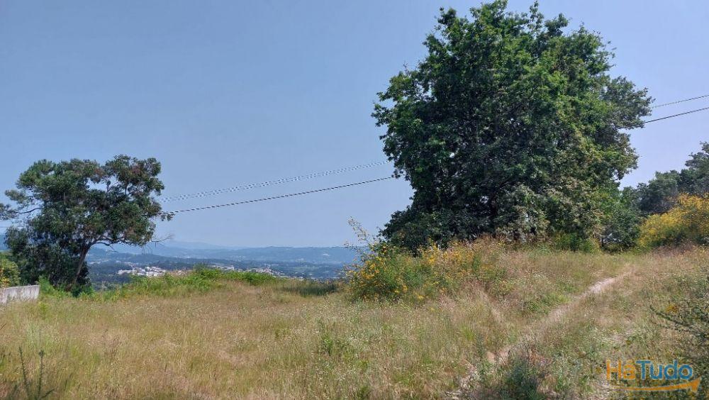 Quinta - Vila Verde Quinta - Vila Verde