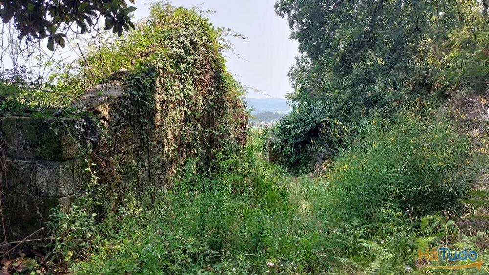 Quinta - Vila Verde Quinta - Vila Verde