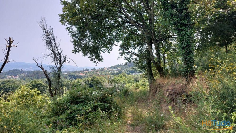 Quinta - Vila Verde Quinta - Vila Verde