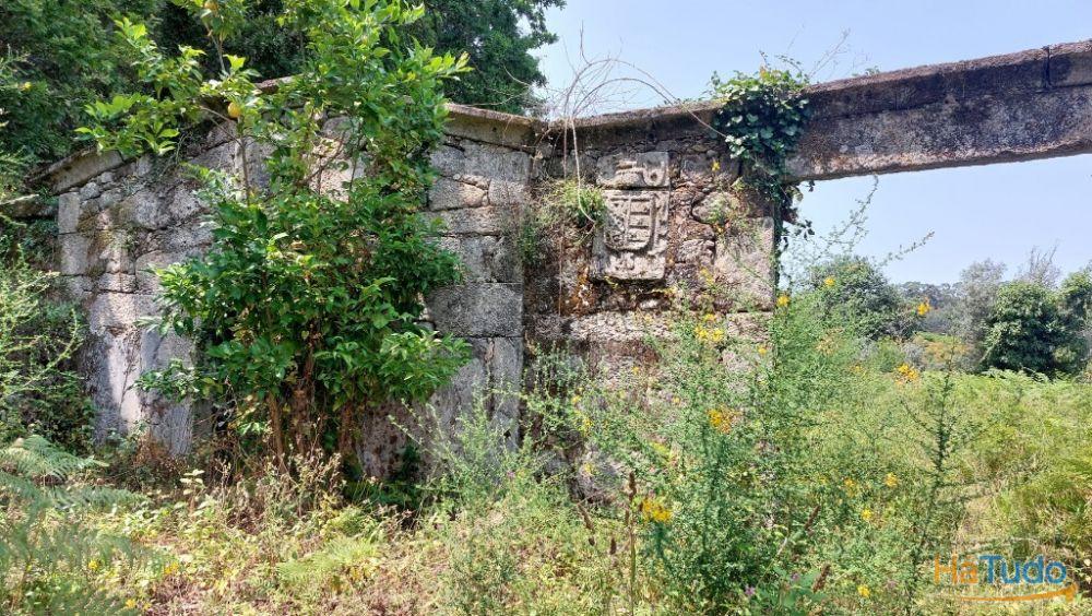 Quinta - Vila Verde Quinta - Vila Verde