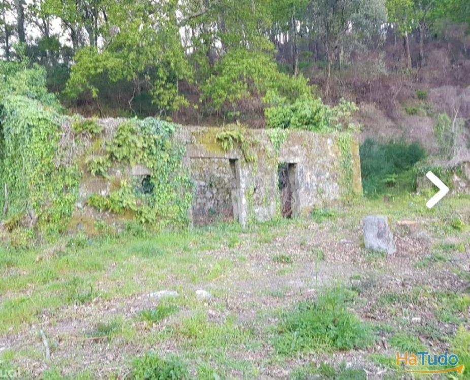 Quinta - Vila Verde Quinta - Vila Verde