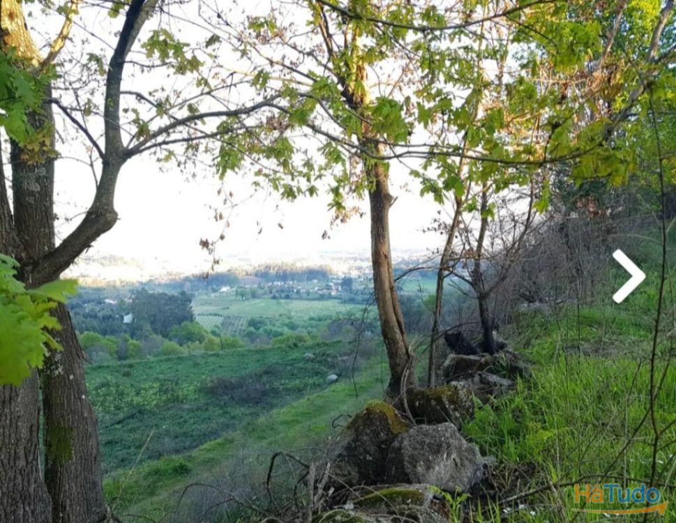 Quinta - Vila Verde Quinta - Vila Verde