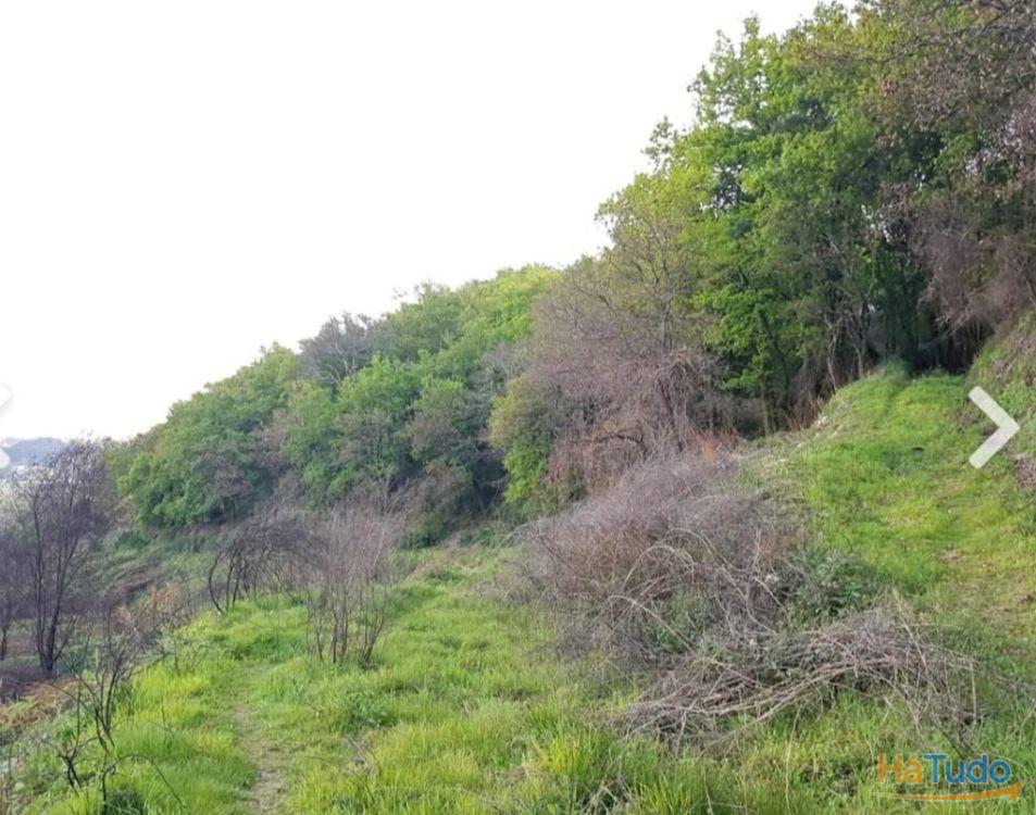 Quinta - Vila Verde Quinta - Vila Verde