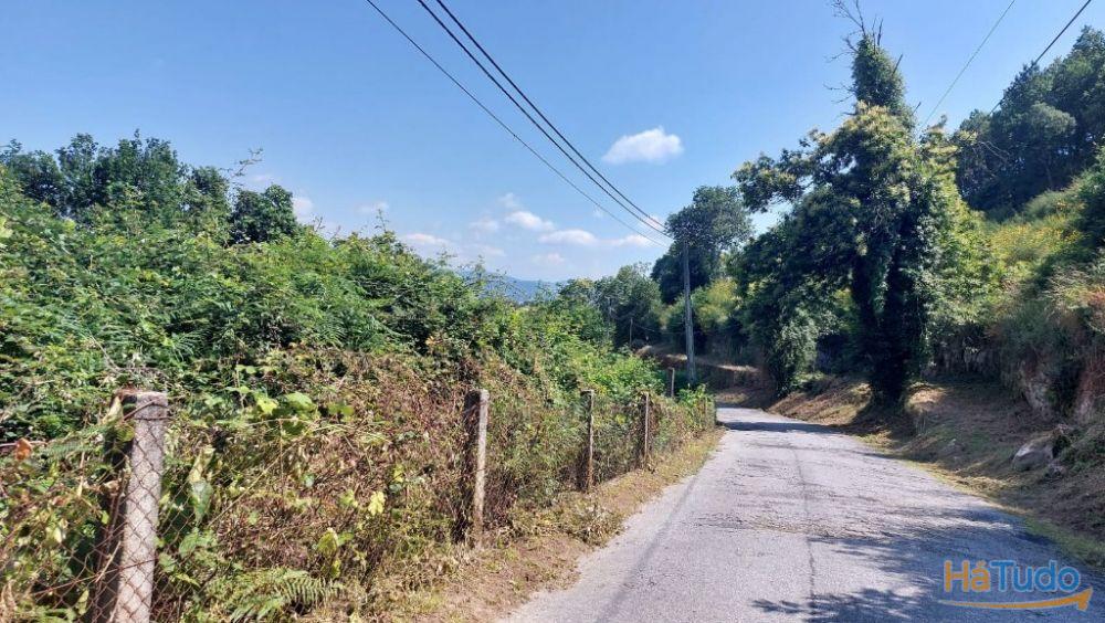 Quinta - Vila Verde Quinta - Vila Verde