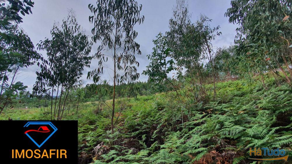 Terreno Construção de Moradia Terreno Construção de Moradia