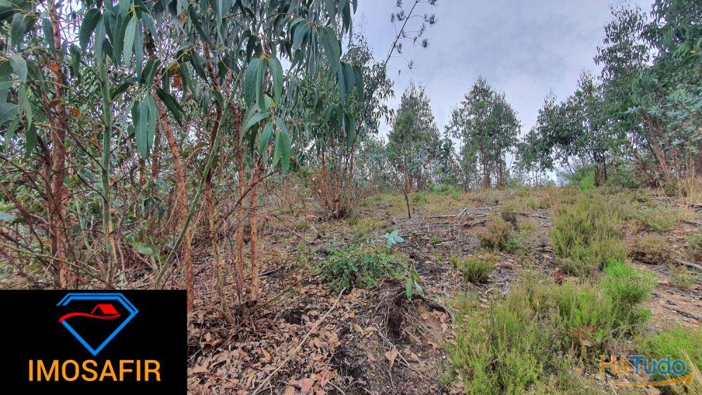 Terreno Construção de Moradia Terreno Construção de Moradia