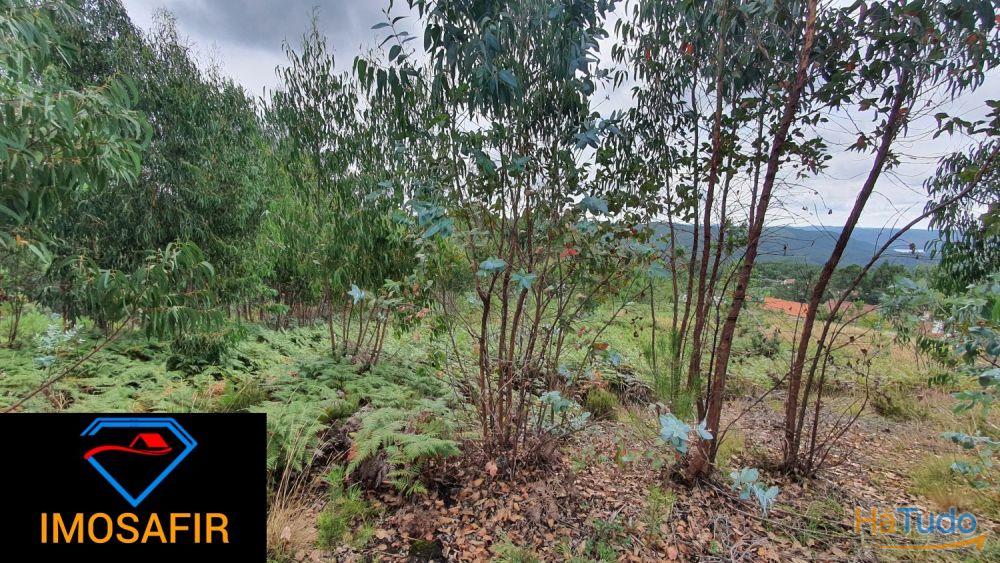 Terreno Construção de Moradia Terreno Construção de Moradia