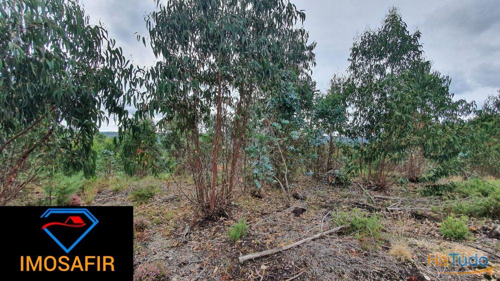 Terreno Construção de Moradia Terreno Construção de Moradia