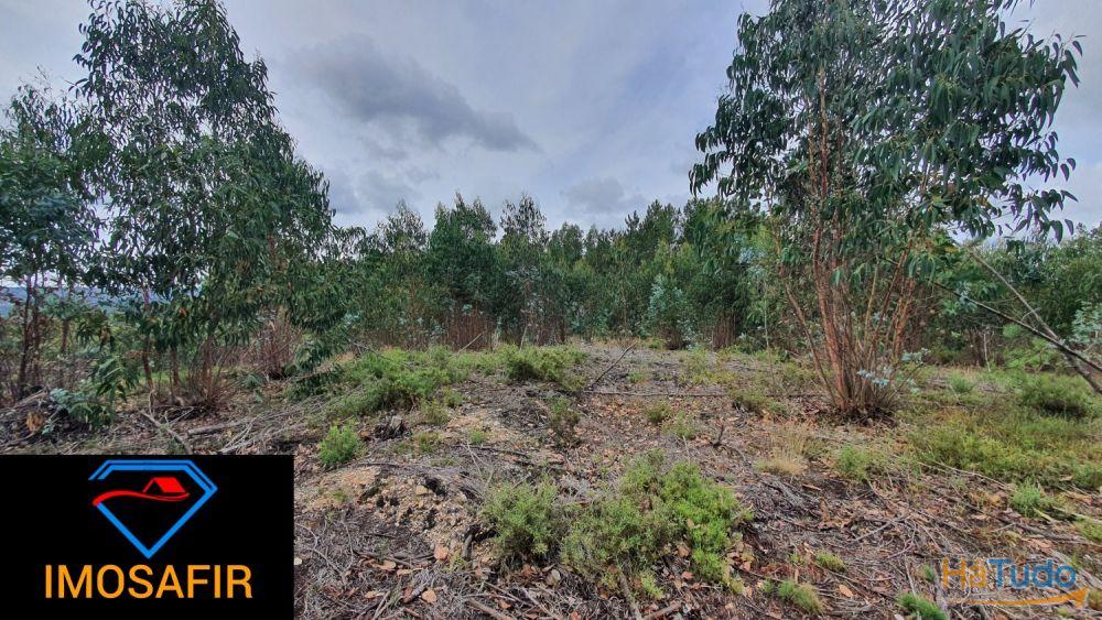 Terreno Construção de Moradia Terreno Construção de Moradia