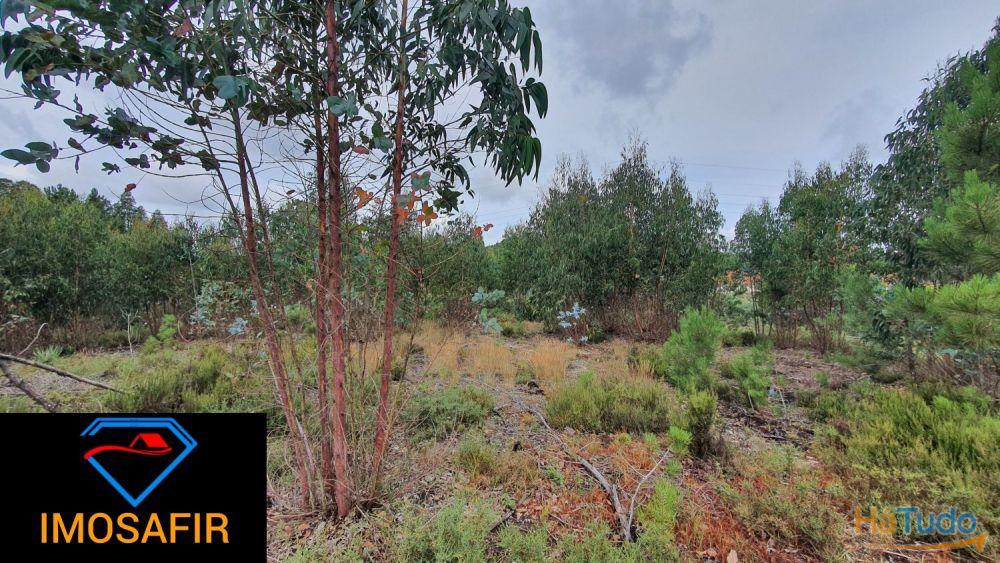 Terreno Construção de Moradia Terreno Construção de Moradia