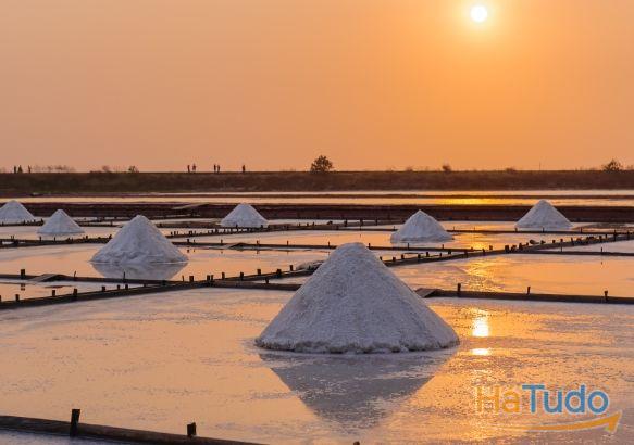 Moradia Geminada T4 - Em Construção - Esgueira, Aveiro Moradia Geminada T4 - Em Construção - Esgueira, Aveiro