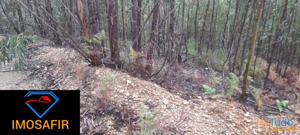 Terreno perto do Rio na Serra da Pombeira Terreno perto do Rio na Serra da Pombeira