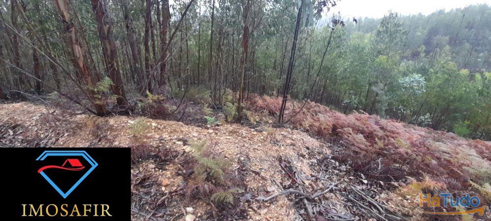 Terreno perto do Rio na Serra da Pombeira Terreno perto do Rio na Serra da Pombeira