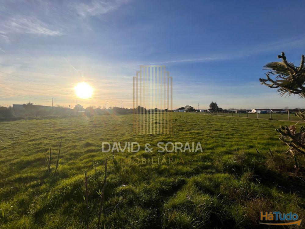 TERRENO 6000M2 - Pinhal Novo