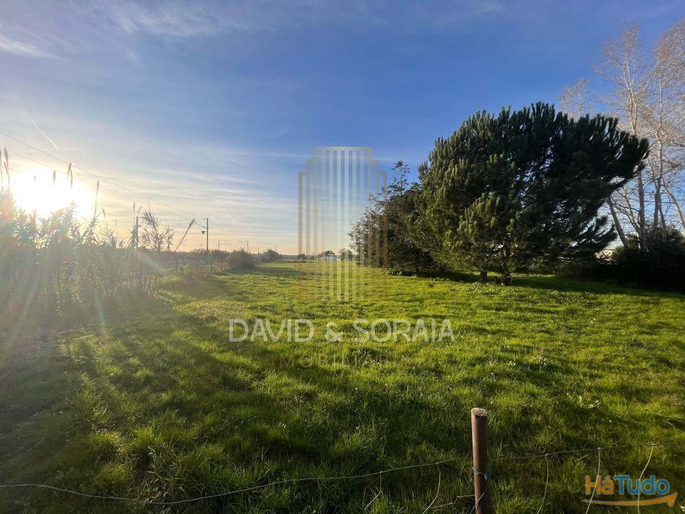 TERRENO 6000M2 - Pinhal Novo