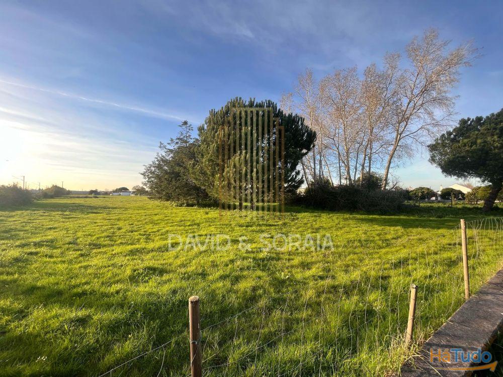 TERRENO 6000M2 - Pinhal Novo