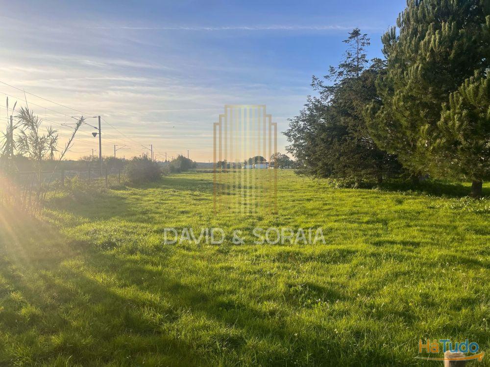 TERRENO 6000M2 - Pinhal Novo