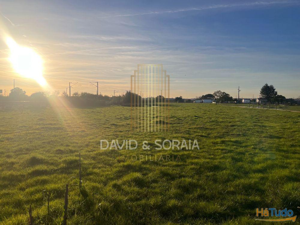 TERRENO 6000M2 - Pinhal Novo