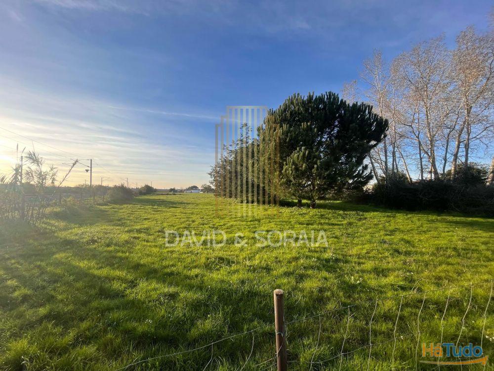 TERRENO 6000M2 - Pinhal Novo