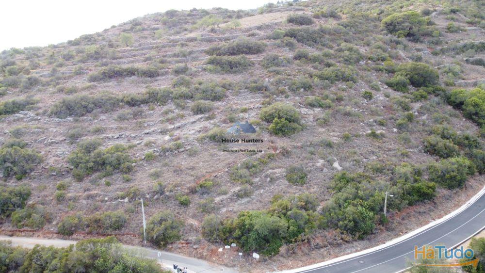 Terreno Rústico | Vista mar | Estoi | Faro Terreno Rústico | Vista mar | Estoi | Faro