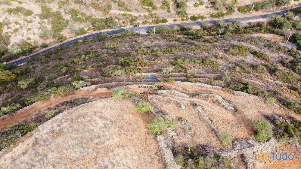 Terreno Rústico | Vista mar | Estoi | Faro Terreno Rústico | Vista mar | Estoi | Faro