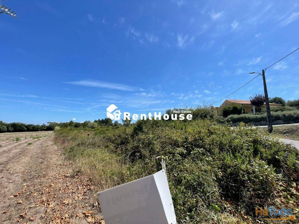 Terreno Alhadas Terreno Alhadas