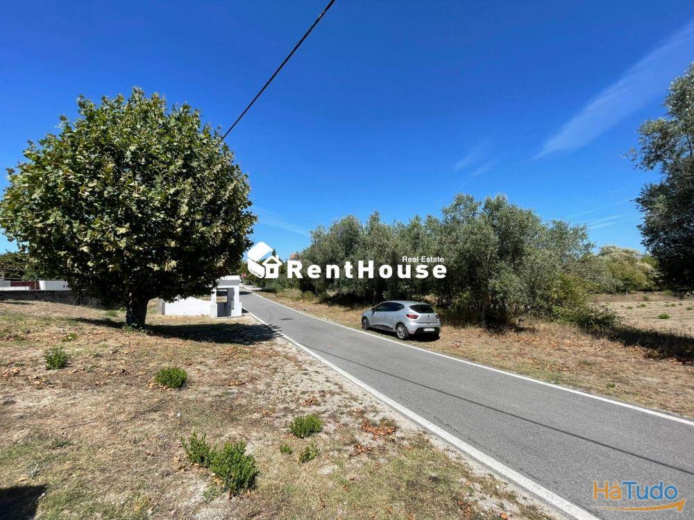 Terreno Alhadas Terreno Alhadas