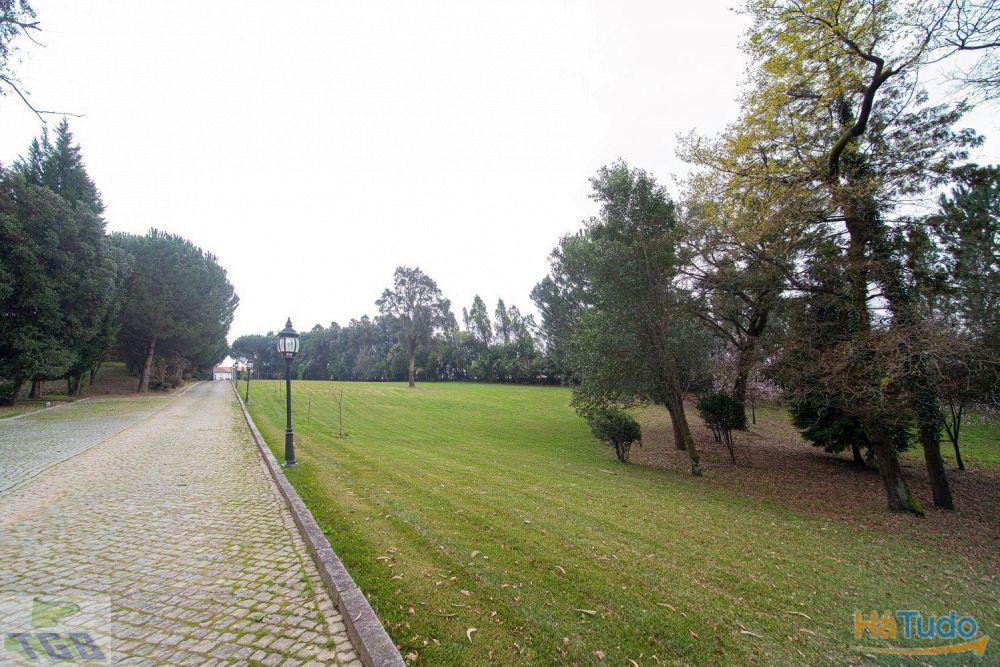 Quinta C/ 3 moradias Quinta C/ 3 moradias