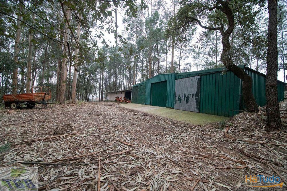 Quinta C/ 3 moradias Quinta C/ 3 moradias