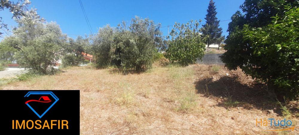 Casa geminada e ruína para restaurar, com terreno perto de Cardigos Casa geminada e ruína para restaurar, com terreno perto de Cardigos