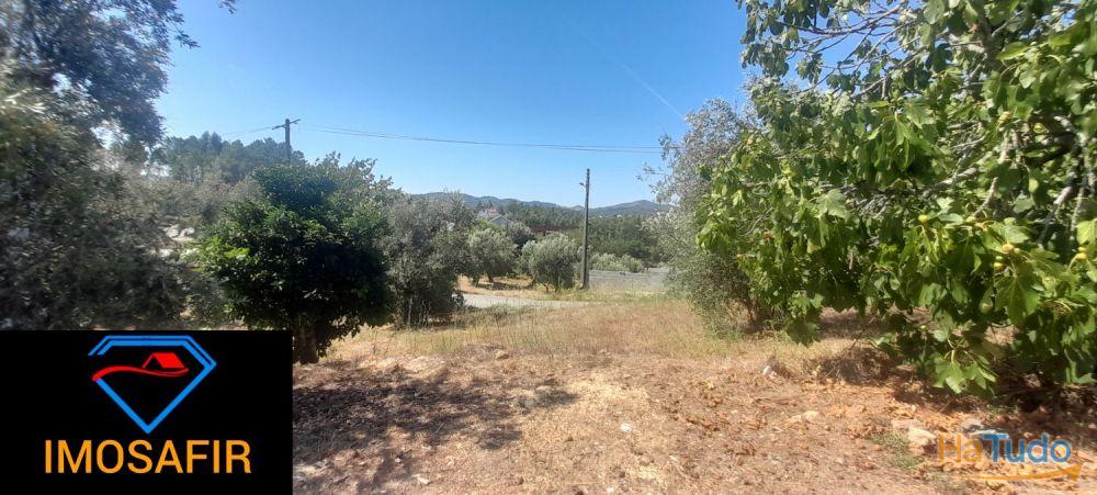Casa geminada e ruína para restaurar, com terreno perto de Cardigos Casa geminada e ruína para restaurar, com terreno perto de Cardigos