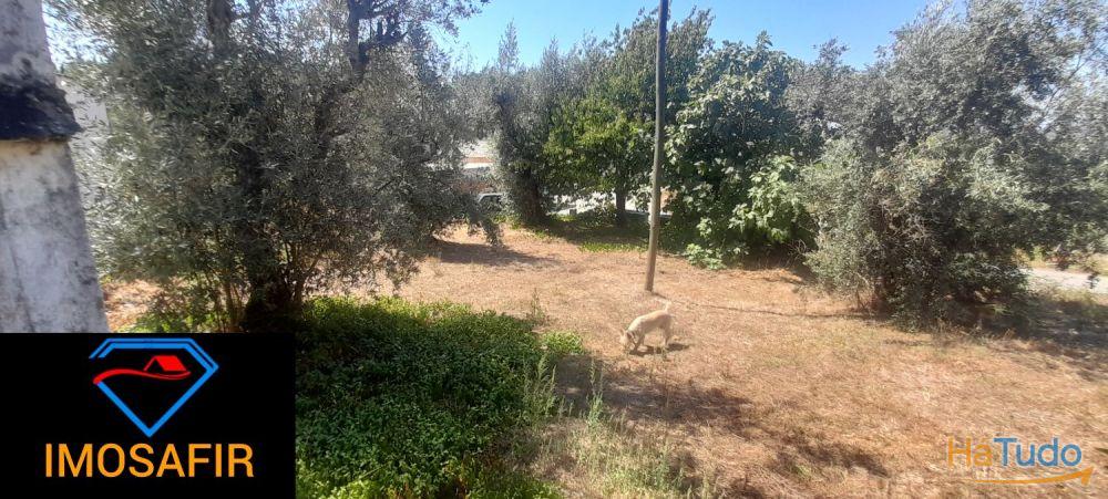 Casa geminada e ruína para restaurar, com terreno perto de Cardigos Casa geminada e ruína para restaurar, com terreno perto de Cardigos