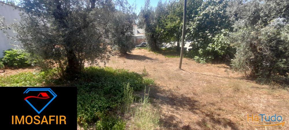 Casa geminada e ruína para restaurar, com terreno perto de Cardigos Casa geminada e ruína para restaurar, com terreno perto de Cardigos