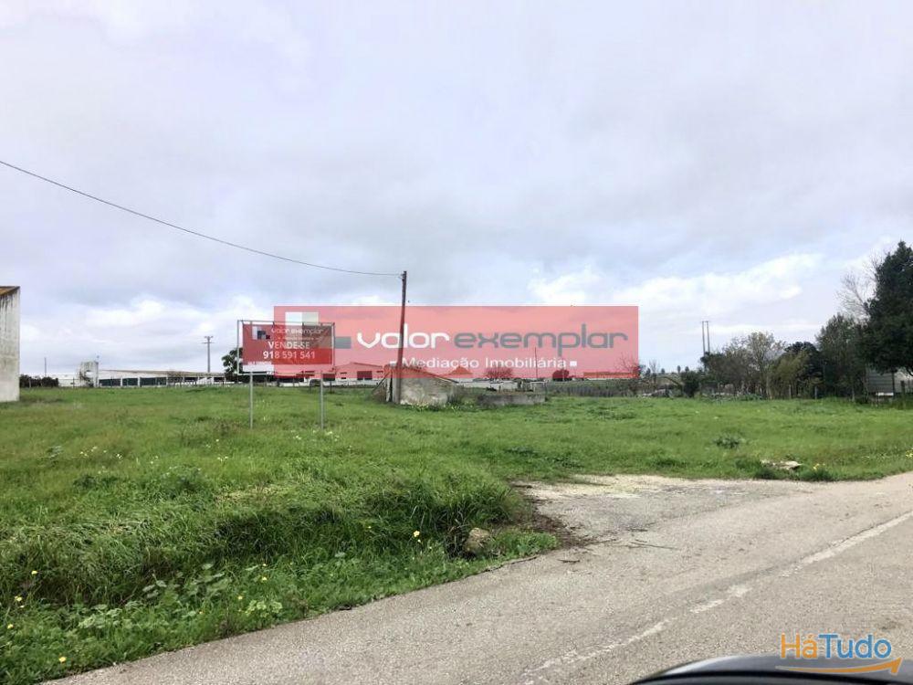 TERRENO C/ 1 HA C/ DESTINO HABITAÇÃO E AUXILIO AGRICOLA TERRENO C/ 1 HA C/ DESTINO HABITAÇÃO E AUXILIO AGRICOLA