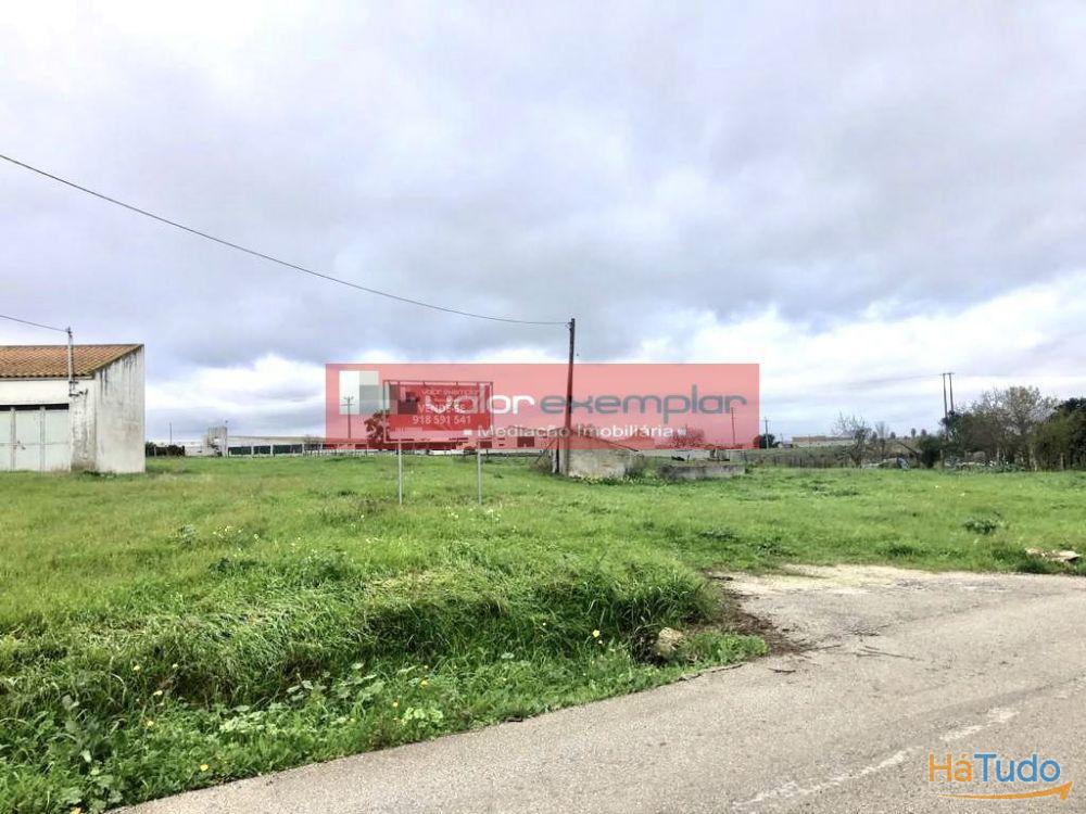 TERRENO C/ 1 HA C/ DESTINO HABITAÇÃO E AUXILIO AGRICOLA TERRENO C/ 1 HA C/ DESTINO HABITAÇÃO E AUXILIO AGRICOLA