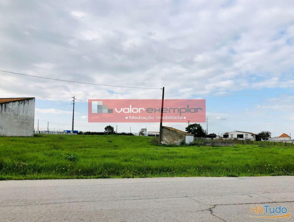 TERRENO C/ 1 HA C/ DESTINO HABITAÇÃO E AUXILIO AGRICOLA TERRENO C/ 1 HA C/ DESTINO HABITAÇÃO E AUXILIO AGRICOLA