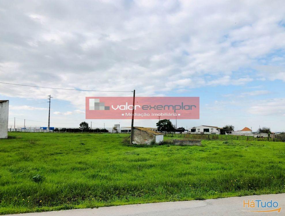 TERRENO C/ 1 HA C/ DESTINO HABITAÇÃO E AUXILIO AGRICOLA TERRENO C/ 1 HA C/ DESTINO HABITAÇÃO E AUXILIO AGRICOLA