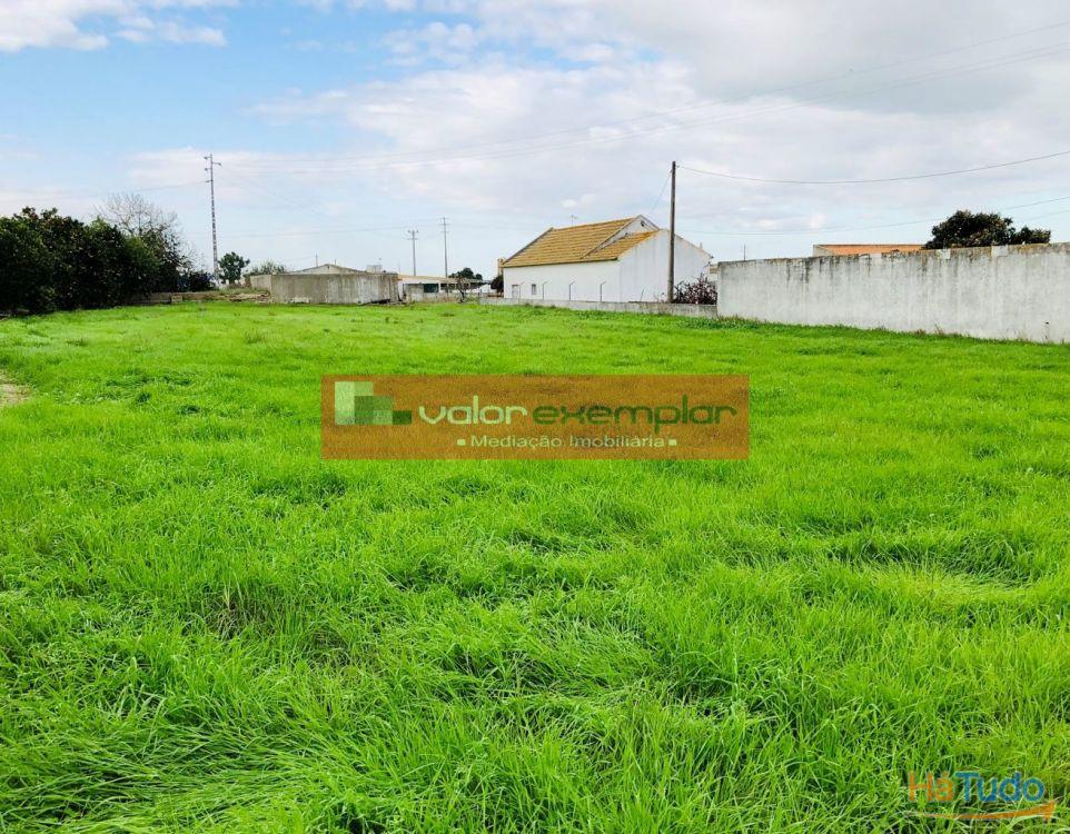 TERRENO C/ 1 HA C/ DESTINO HABITAÇÃO E AUXILIO AGRICOLA TERRENO C/ 1 HA C/ DESTINO HABITAÇÃO E AUXILIO AGRICOLA