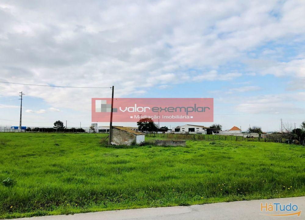 TERRENO C/ 1 HA C/ DESTINO HABITAÇÃO E AUXILIO AGRICOLA TERRENO C/ 1 HA C/ DESTINO HABITAÇÃO E AUXILIO AGRICOLA