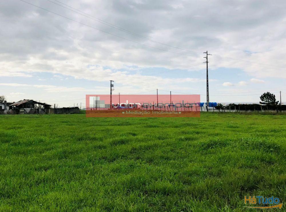 TERRENO C/ 1 HA C/ DESTINO HABITAÇÃO E AUXILIO AGRICOLA TERRENO C/ 1 HA C/ DESTINO HABITAÇÃO E AUXILIO AGRICOLA