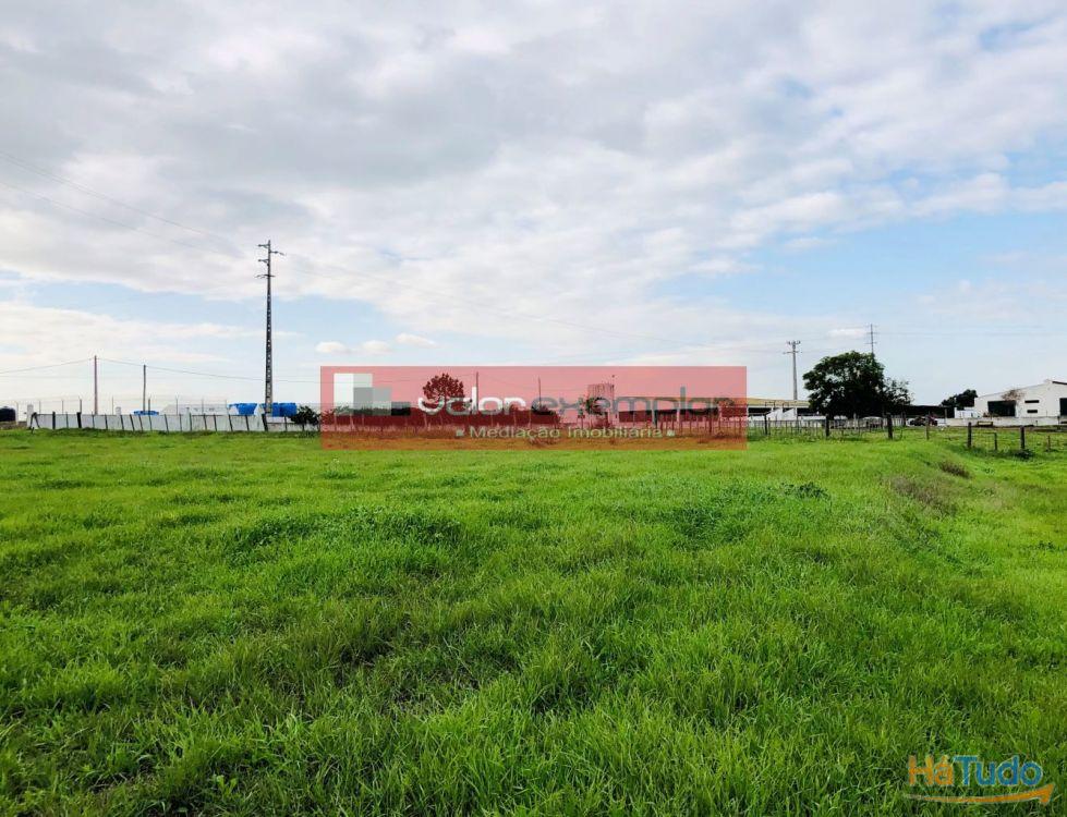 TERRENO C/ 1 HA C/ DESTINO HABITAÇÃO E AUXILIO AGRICOLA TERRENO C/ 1 HA C/ DESTINO HABITAÇÃO E AUXILIO AGRICOLA