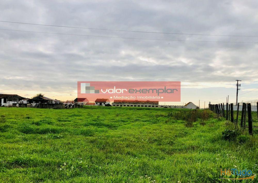 TERRENO C/ 1 HA C/ DESTINO HABITAÇÃO E AUXILIO AGRICOLA TERRENO C/ 1 HA C/ DESTINO HABITAÇÃO E AUXILIO AGRICOLA