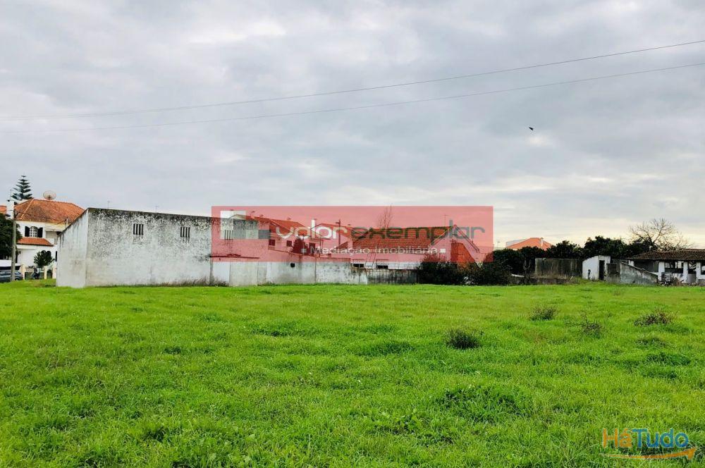 TERRENO C/ 1 HA C/ DESTINO HABITAÇÃO E AUXILIO AGRICOLA TERRENO C/ 1 HA C/ DESTINO HABITAÇÃO E AUXILIO AGRICOLA
